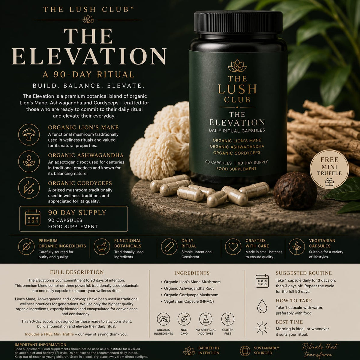 The Elevation