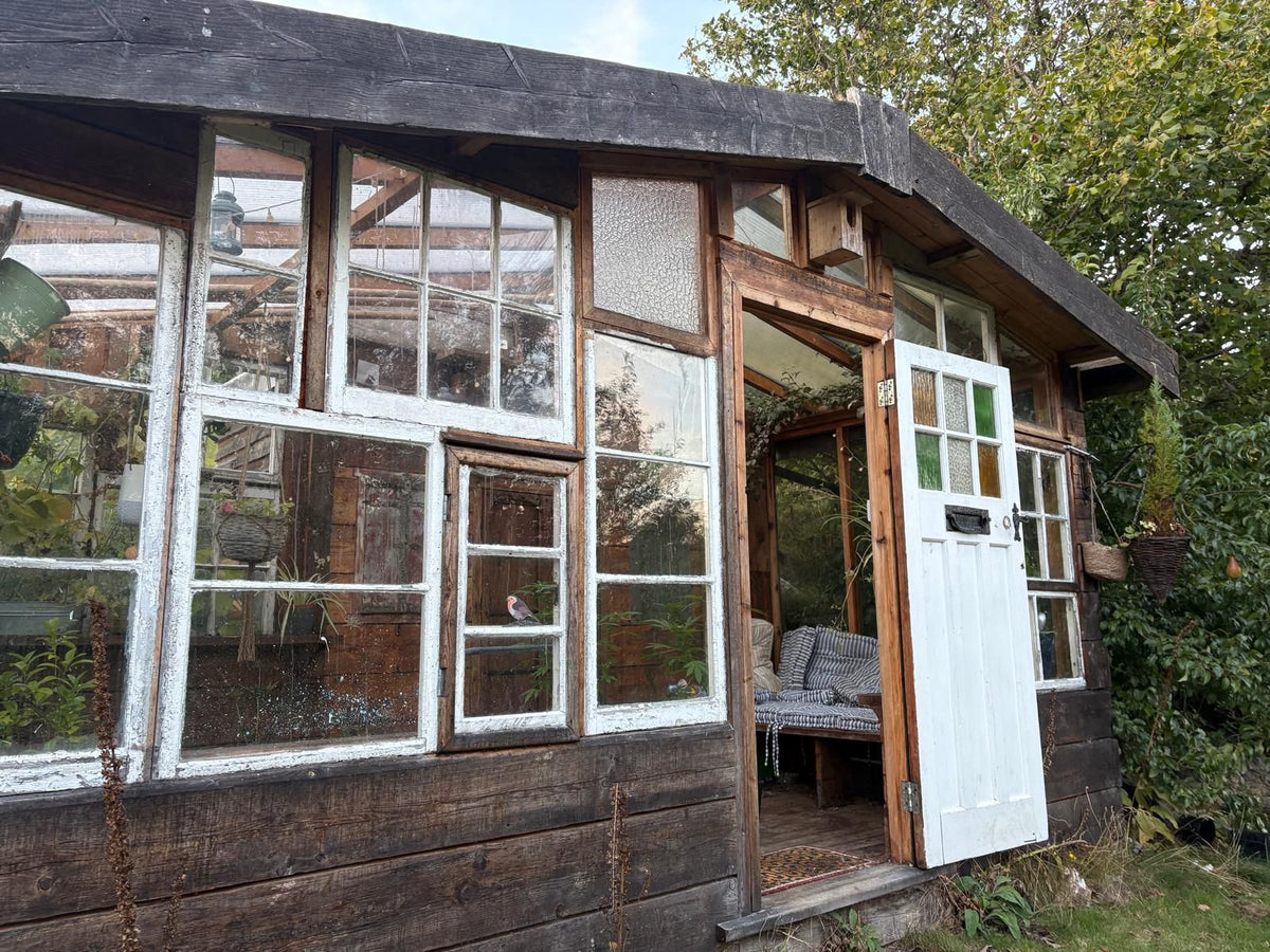 Snowdonia Plant Medicine Retreat
